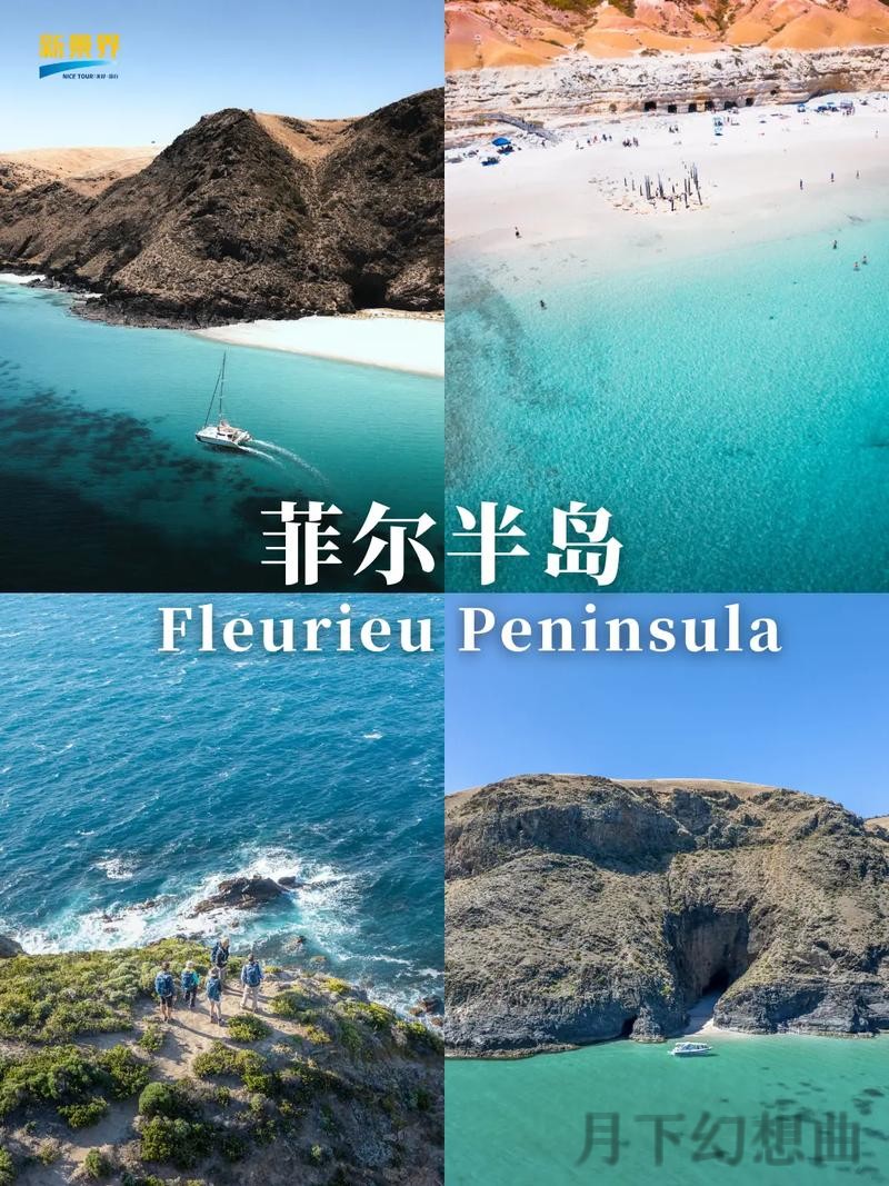 解锁半岛综合版的多元魅力